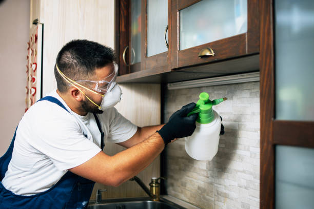 Best Bed Bug Extermination  in Marion, IA