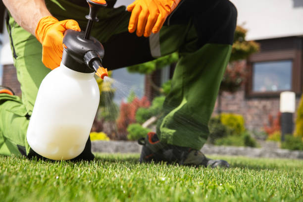 Wasp Removal Services in Marion, IA