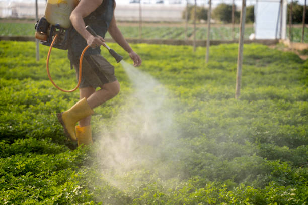 Best Pest Prevention Services  in Marion, IA