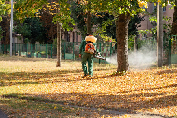 Pest Control for Restaurants in Marion, IA