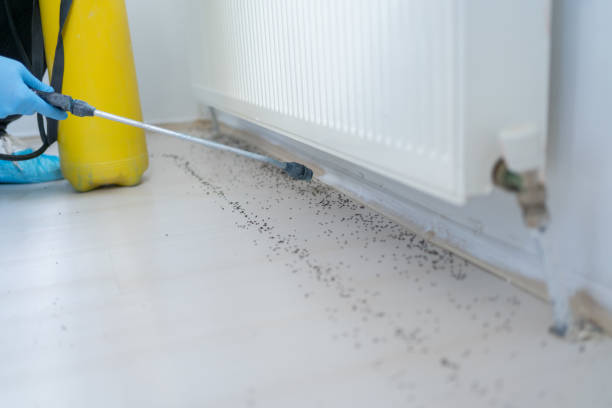 Best Cockroach Control Services  in Marion, IA