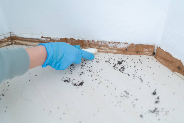 Marion, IA Pest Control Company